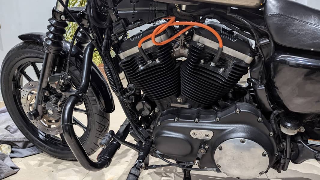 Harley davidson Iron 883 (2011) MODEL  | Harley in bikes | Iron 883 8