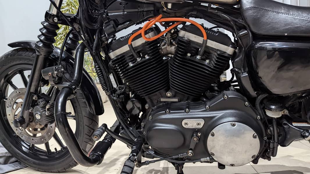 Harley davidson Iron 883 (2011) MODEL  | Harley in bikes | Iron 883 9