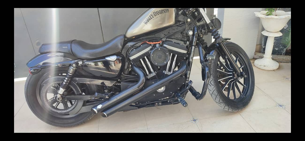 Harley davidson Iron 883 (2011) MODEL  | Harley in bikes | Iron 883 12