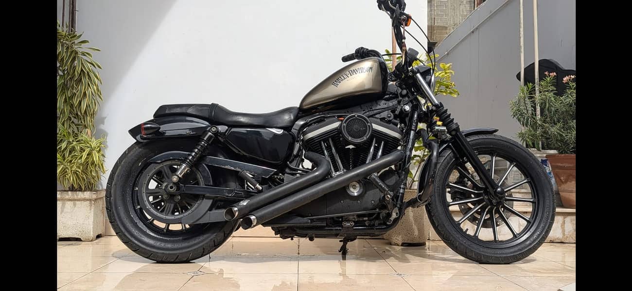 Harley davidson Iron 883 (2011) MODEL  | Harley in bikes | Iron 883 14