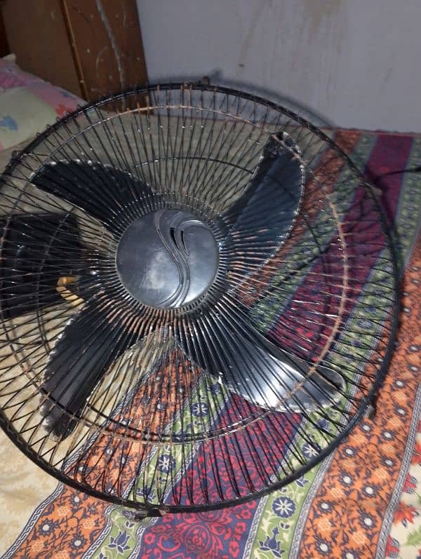 2 fans and 1 stabilizer Rs 17000 8