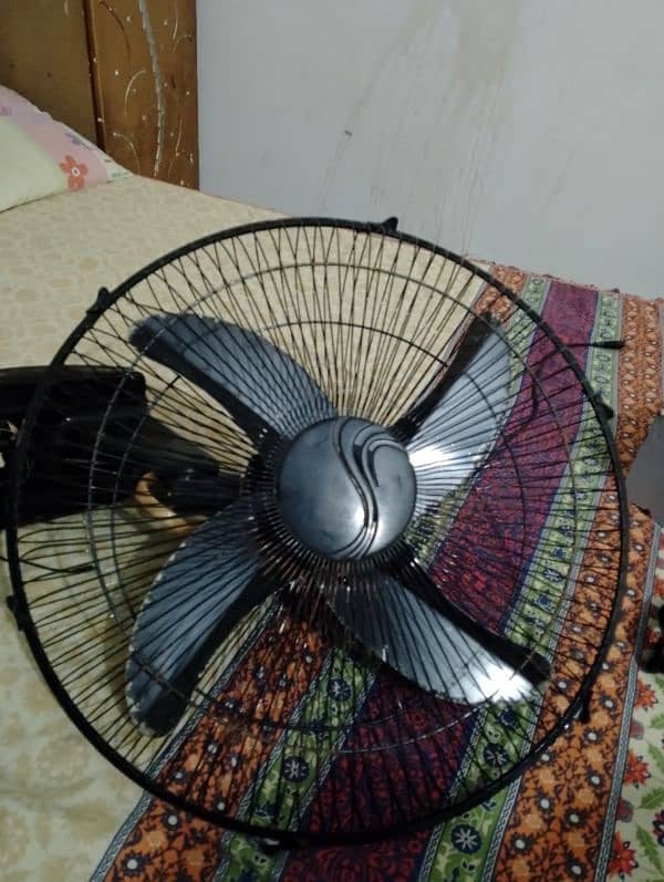 2 fans and 1 stabilizer Rs 17000 11