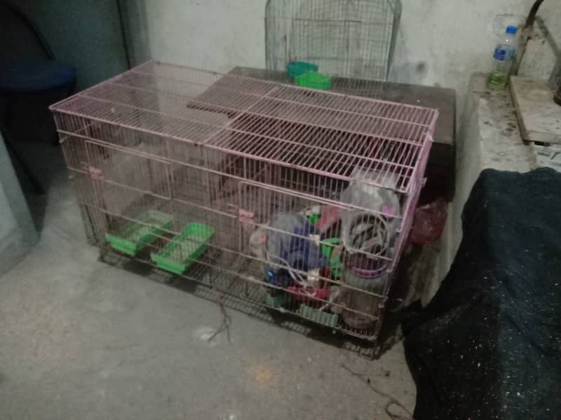 Cages for sale 1