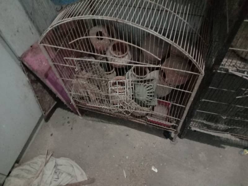 Cages for sale 3