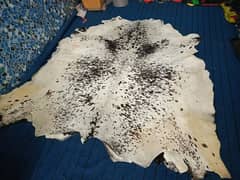 cow hides Natural cow hair on leather