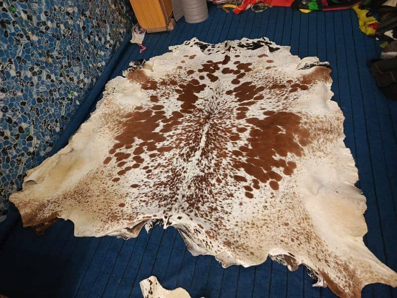 cow hides Natural cow hair on leather 2