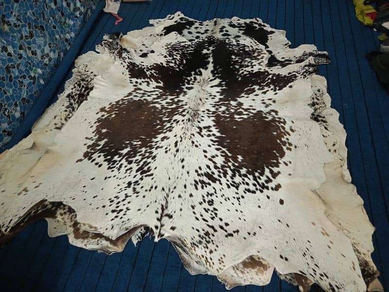 cow hides Natural cow hair on leather 3