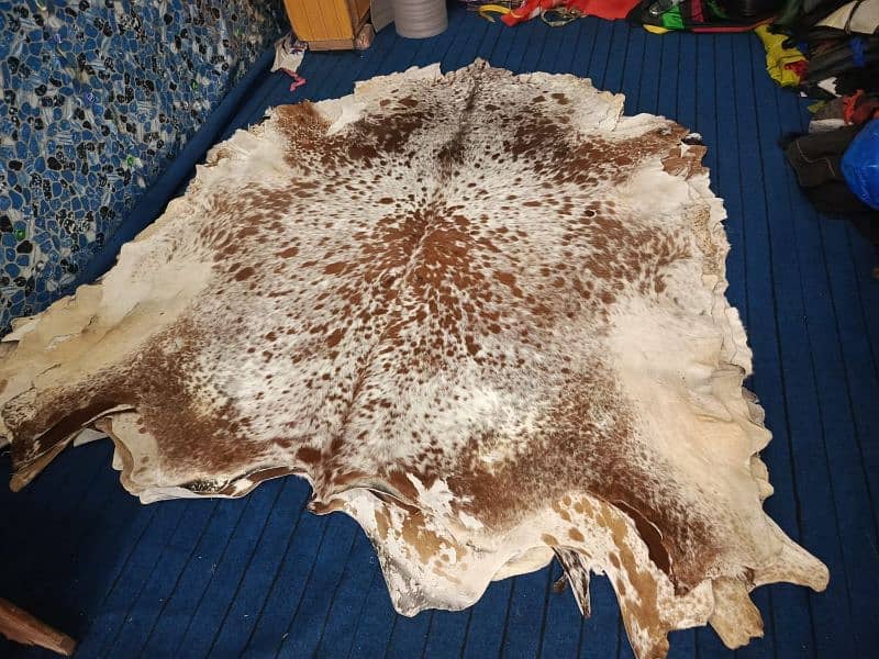 cow hides Natural cow hair on leather 6