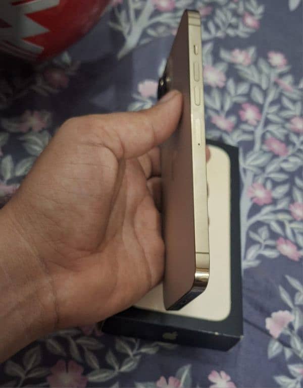 iphone 13 pro mix 128 gb golden coler 2