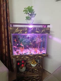 Two Fish aquarium in excellent condition