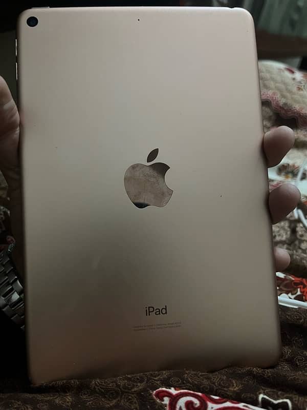 Apple IPad Mini 5 1