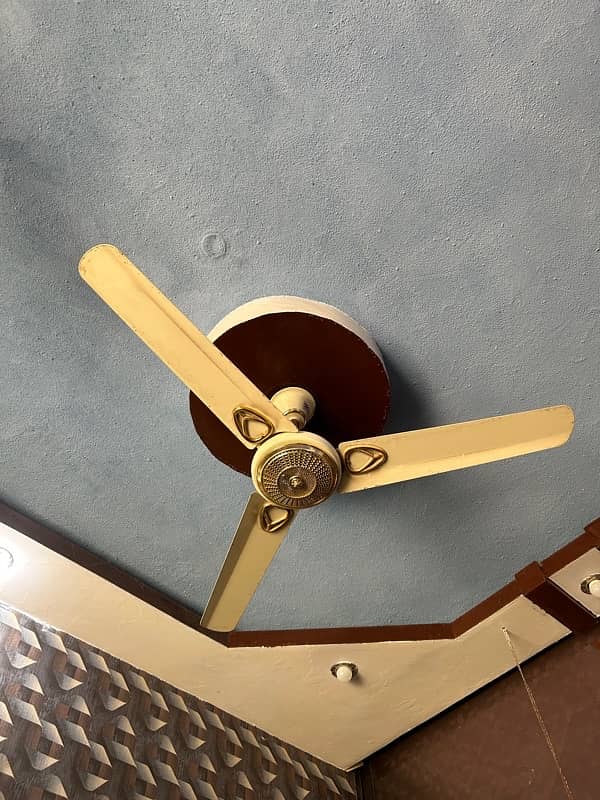 Fans in Good Condition 10