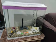 Imported Aquarium with Fiber Glass and Metal Frame