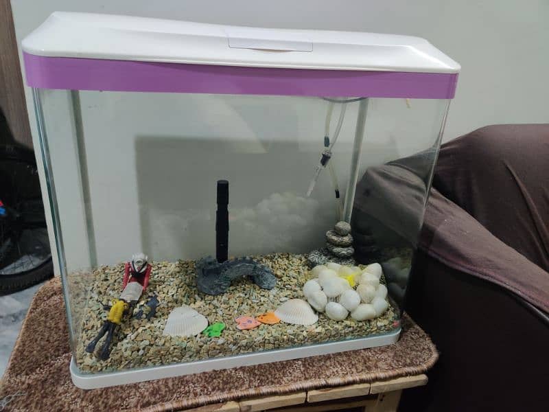 Imported Aquarium with Fiber Glass and Metal Frame 0