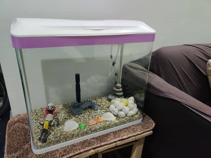 Imported Aquarium with Fiber Glass and Metal Frame 1