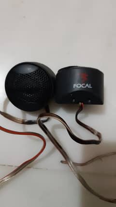 Focal Tweeter