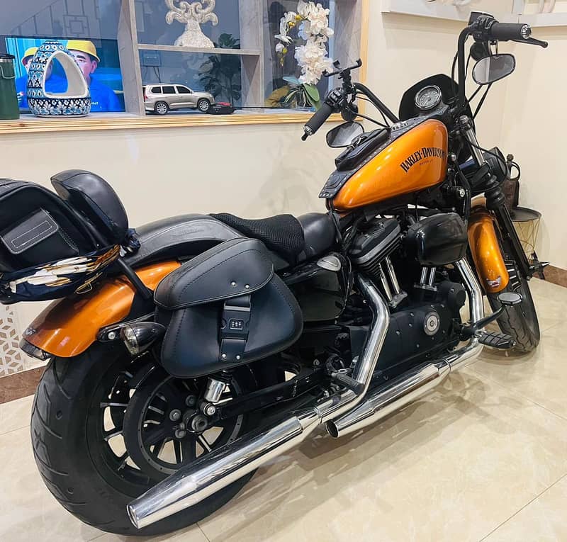 Harley davidson Iron 883 (2014) MODEL  | Harley in bikes | Iron 883 6