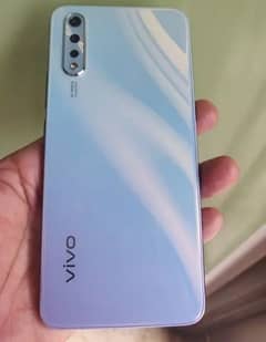 vivo