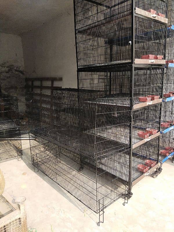 5 used cages are available for love birds and ring neck 3