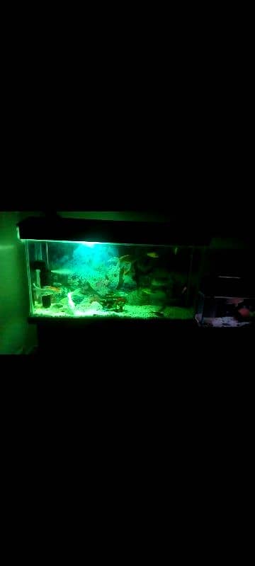 aquarium for sale 4*2 ft 0