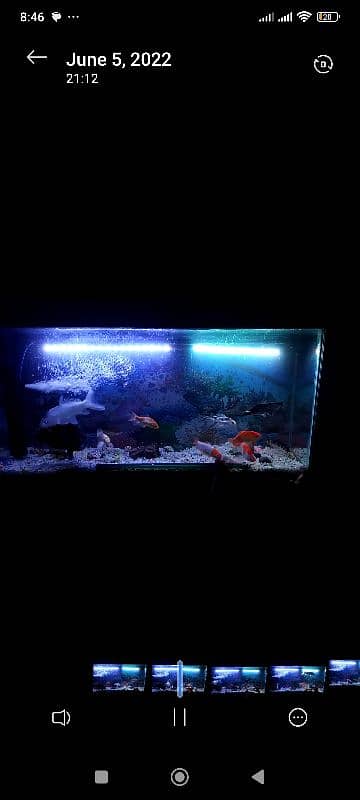 aquarium for sale 4*2 ft 1