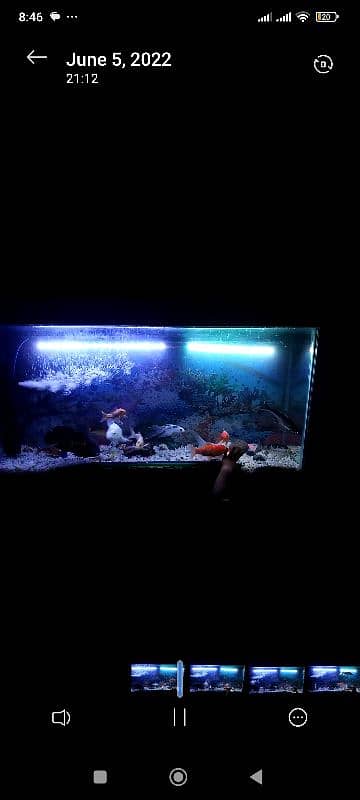 aquarium for sale 4*2 ft 2