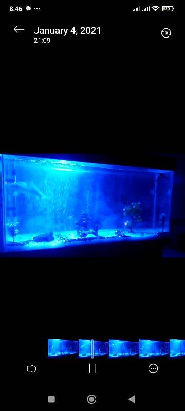 aquarium for sale 4*2 ft 3