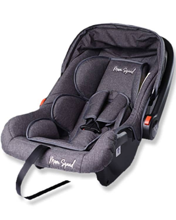 Baby Carry Cot and Car Seat 1