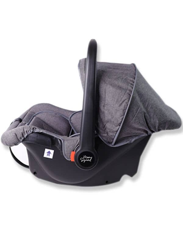 Baby Carry Cot and Car Seat 2