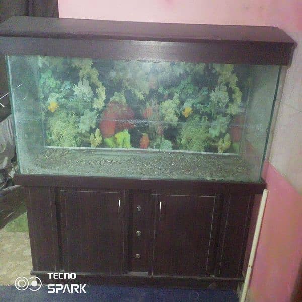 4 feet aquarium with piano hood and trolly vip new condition 1