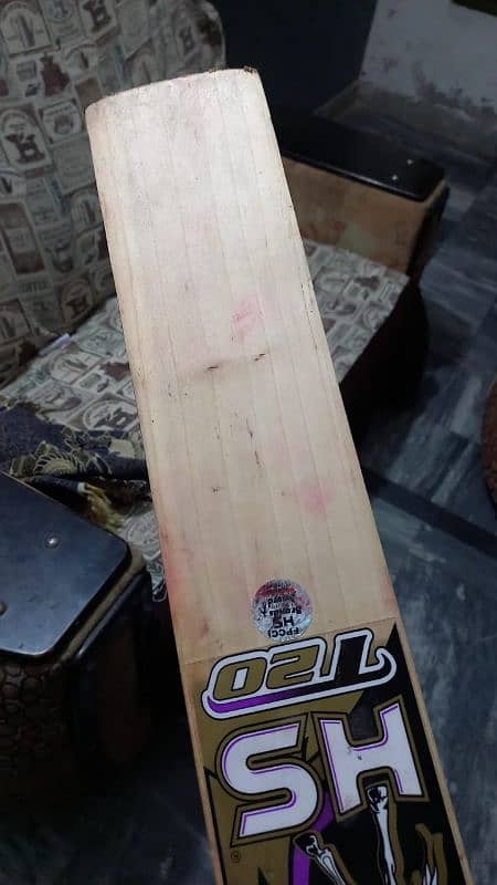 cricket hard ball bat 2