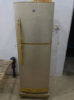 PEL fridge