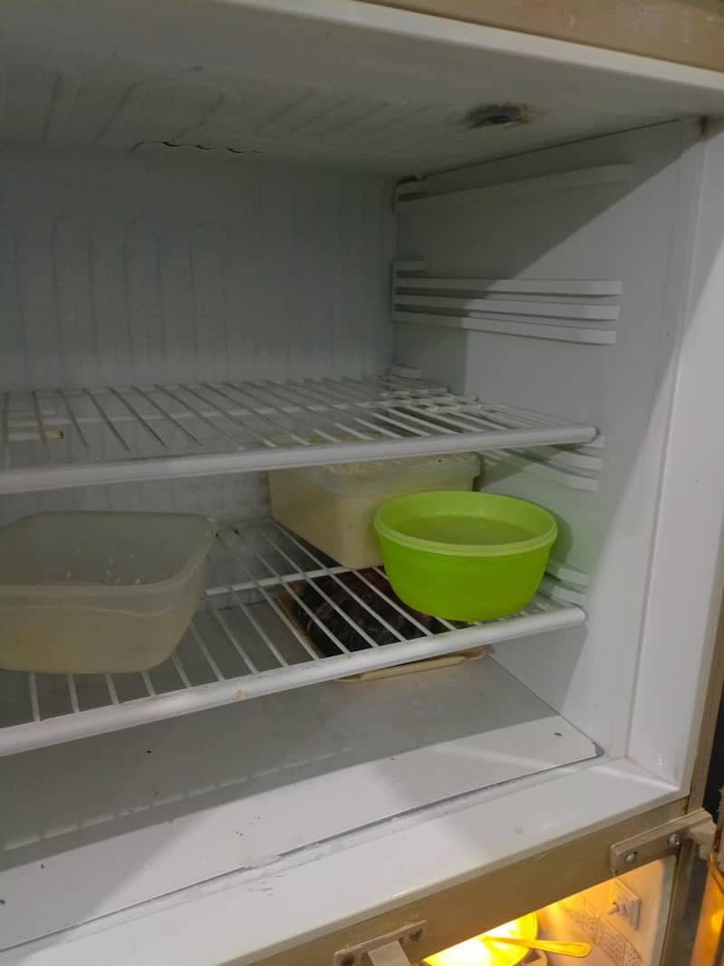 PEL fridge 1