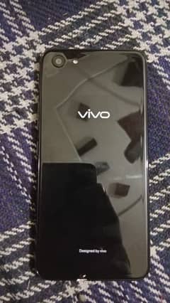 vivo