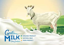 Goat Milk