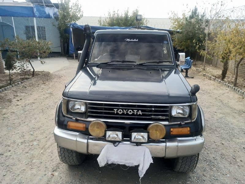 Toyota Land Cruiser 1991 0