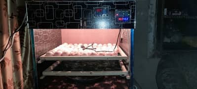 Semi Auto 160 eggs incubator