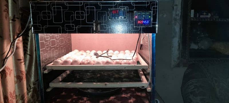 Semi Auto 160 eggs incubator 0