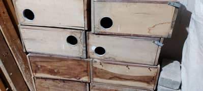 keekar Love Bird finch breeding boxes