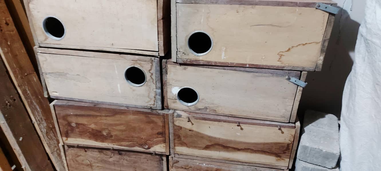 keekar Love Bird finch breeding boxes 0