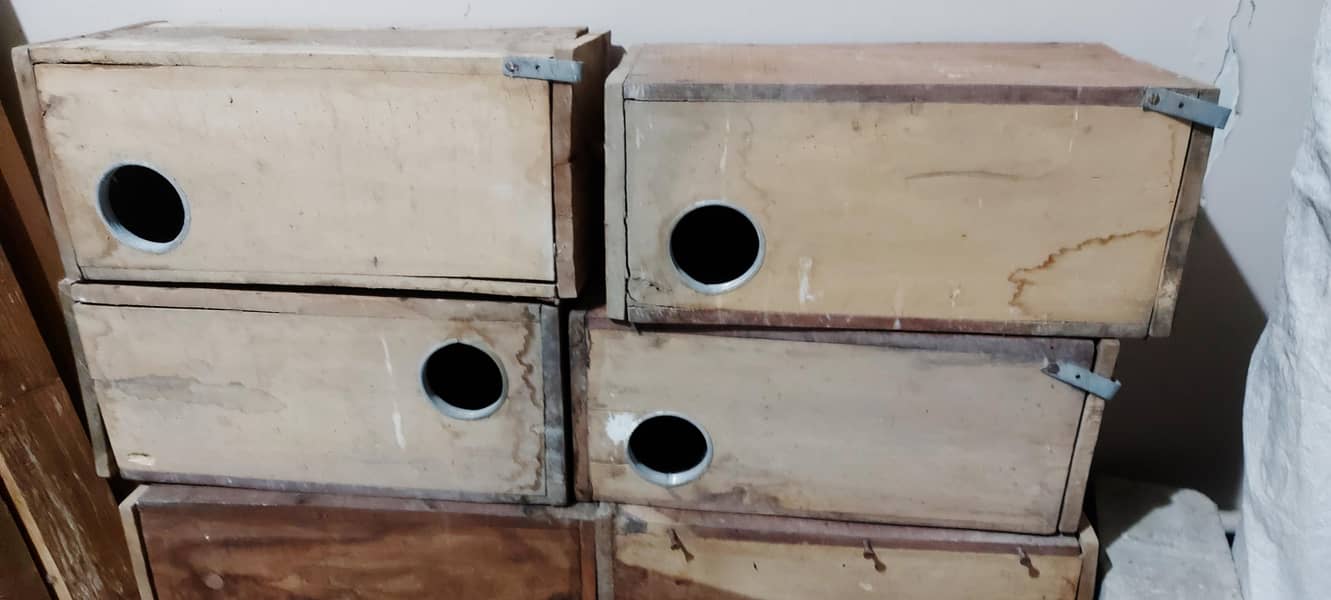 keekar Love Bird finch breeding boxes 1