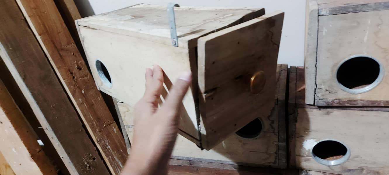 keekar Love Bird finch breeding boxes 2