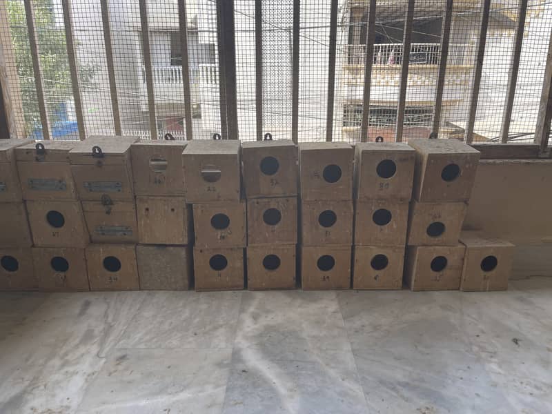 keekar Love Bird finch breeding boxes 8