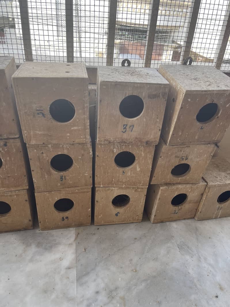 keekar Love Bird finch breeding boxes 9