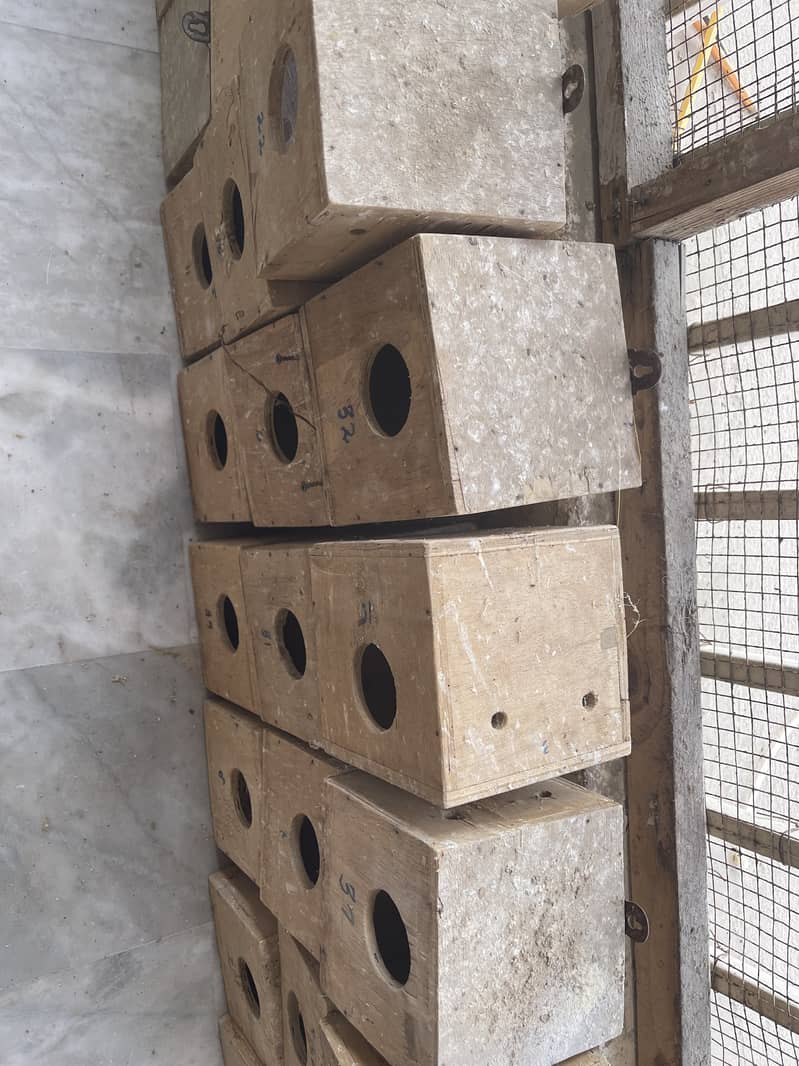 keekar Love Bird finch breeding boxes 10