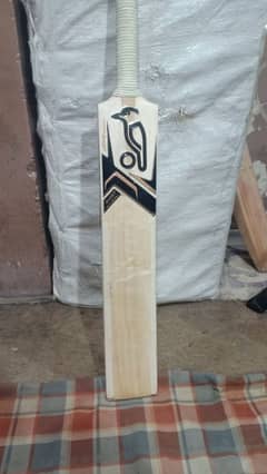 New Bat English willow bat Very good punch