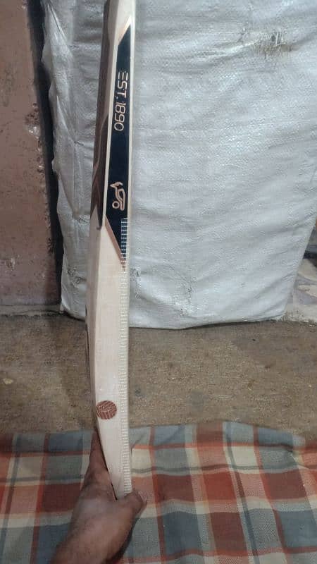 New Bat English willow bat Very good punch 2