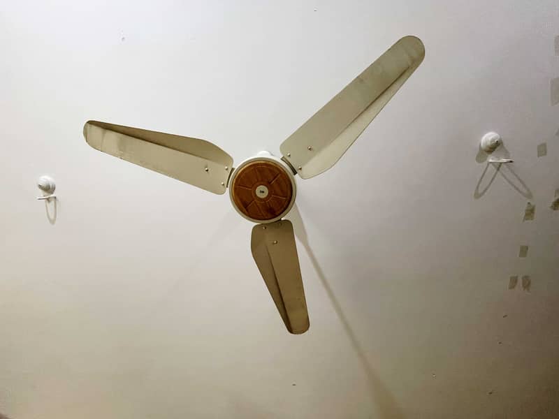 100 percent copper 220 volt SK ceiling fan 2