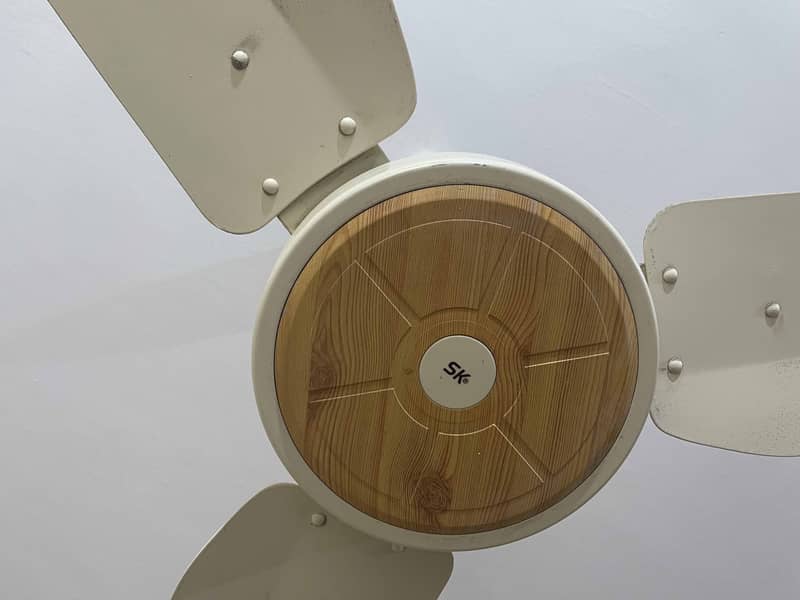 100 percent copper 220 volt SK ceiling fan 3