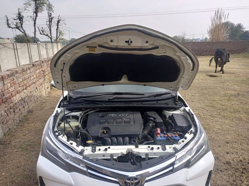 Toyota Altis Grande 2018 5